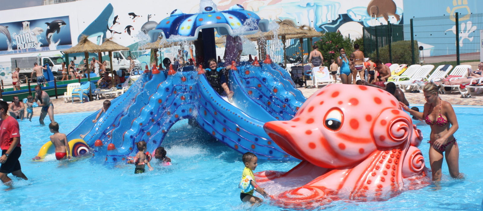 Aquasplash_Marineland_France Octopus Baby Octopus