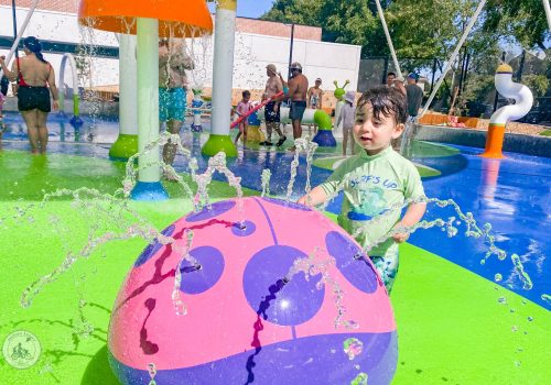 Carnegie Memorial Swimming Pool Swimplex Splash Pad
